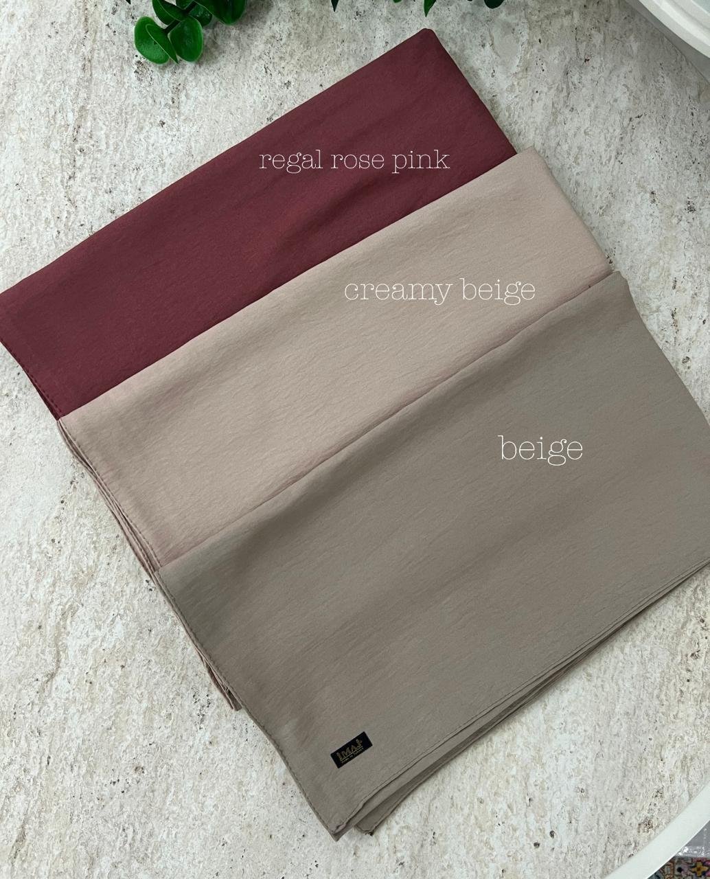 WhatsApp Image 2026-02-05 at 5.44.20 PM